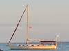 Allmand Monohull