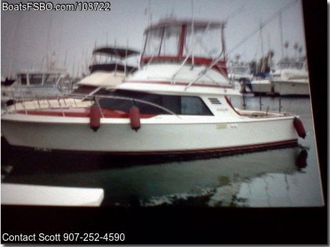 29' 1989 Blackfin Flybridge BoatsFSBOgo