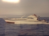 Chris Craft 38 Roamer