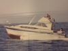 Chris Craft 38 Roamer New Buffalo Michigan Chris Craft 38 Roamer New Buffalo Michigan BoatsFSBOgo
