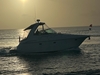 Cruisers Yachts 370 Express Aventura Florida BoatsFSBOgo