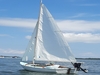 Daysailer Fiberglass Sag Harbor New York BoatsFSBOgo