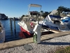 Dorado Sport Fish Bradenton Florida BoatsFSBOgo