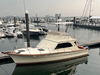 Egg Harbor Sedan Verplank New York Egg Harbor Sedan Verplank New York BoatsFSBOgo