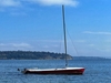 Flying Scot Sailboat Spokane Washington BoatsFSBOgo