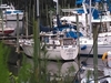 Nauticat 36 Oriental North Carolina Nauticat 36 Oriental North Carolina BoatsFSBOgo