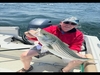 Parker 2120se Center Console Loudon New Hampshire Parker 2120se Center Console Loudon New Hampshire BoatsFSBOgo
