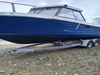 Penn Yan 260 Fish Hardtop