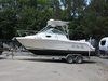 Robalo 265