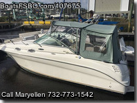 Sea Ray Sundancer 260