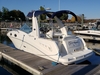 Sea Ray 260 Sundancer