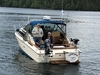 Sea Ray 260 Express Bellingham Washington Sea Ray 260 Express Bellingham Washington BoatsFSBOgo
