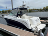 Sea Ray 290 Amberjack