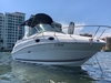 Sea Ray 240 Sundancer