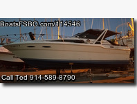 Sea Ray Sundancer 300