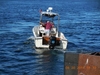 Seacraft Cuddy Cabin Harwich Massachusetts Seacraft Cuddy Cabin Harwich Massachusetts BoatsFSBOgo