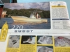 Shamrock 220 Cuddy Surf City New Jersey BoatsFSBOgo