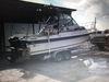 Wellcraft 250 Sportsman Leeville Louisiana Wellcraft 250 Sportsman Leeville Louisiana BoatsFSBOgo
