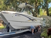 World Cat 270 CC Dover Florida BoatsFSBOgo